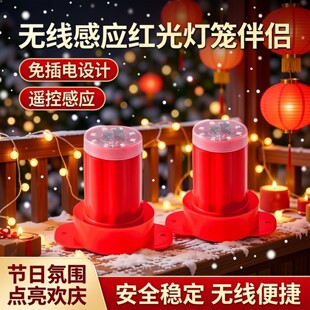 灯笼专用LED灯灯芯2米充电光源免插电灯遥控电池灯旋转灯植绒太阳