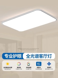 超薄led吸顶灯北欧客厅灯具吊灯简约现代厨房书房阳台房间卧室灯