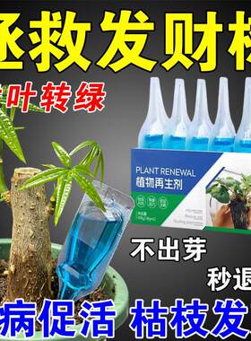 发财树植物再生剂浓缩营养液复活液肥盆栽肥料专用防黄叶枯叶烂根
