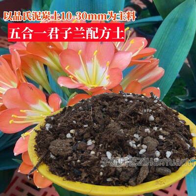 以品氏泥炭土10-30mm为主料配制的五合一君子兰配方土营养土5斤