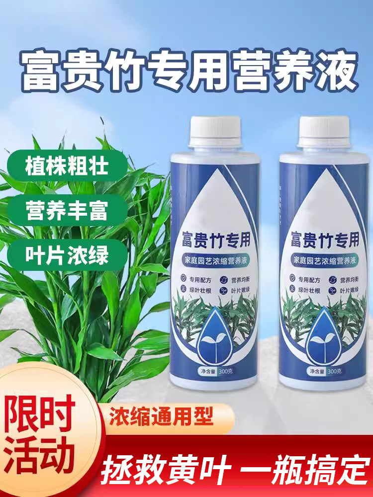 富贵竹专用营养液水培治黄叶促生根转运竹观音竹家用盆栽通用肥料