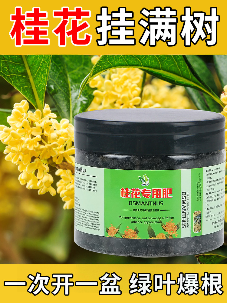 桂花树专用肥料花养花改善黄叶有机肥绿植盆栽四季通用型复合肥促
