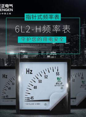 6L2-H频率表赫兹表45-55HZ仪表板表380V 50HZ 20MA