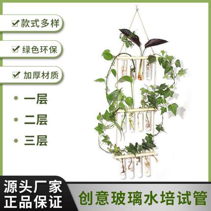 挂壁绿植装饰品悬挂式木架试管玻璃花瓶水培植物容器创意家居