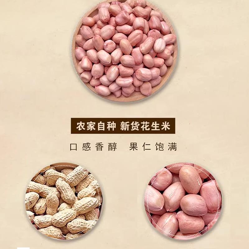 河南白沙花生米农家种植大粒新鲜可做种子散装花生仁生的新货包邮