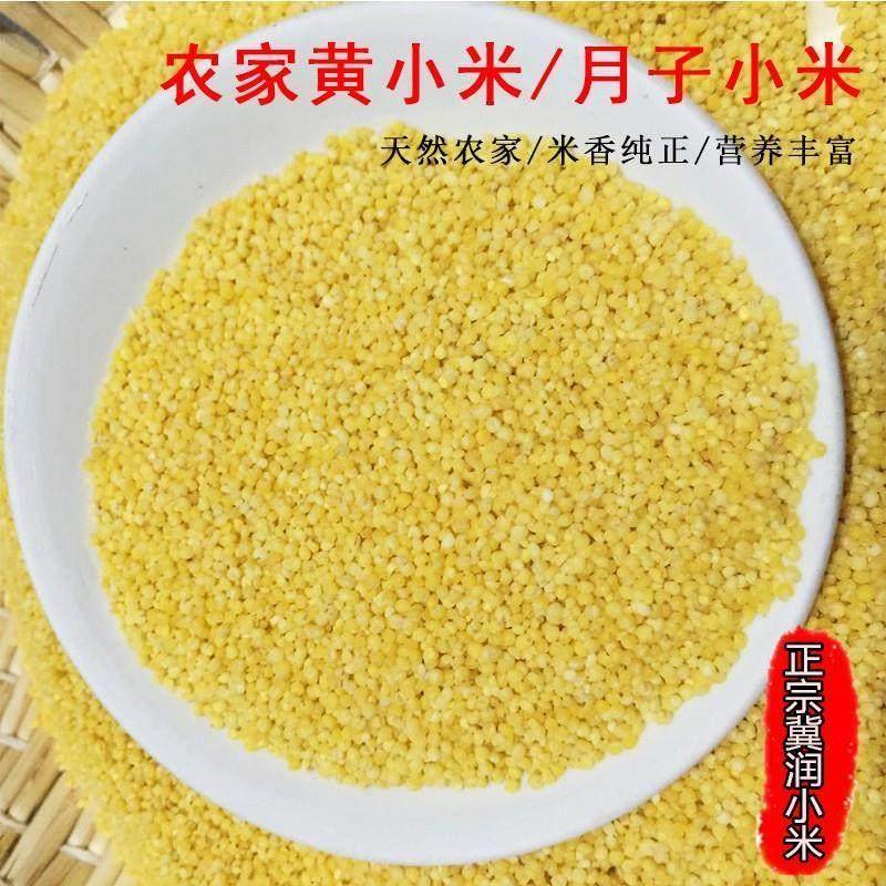 河北冀润小米5斤黄小米农家小黄米孕妇米米脂小米月子米宝宝米