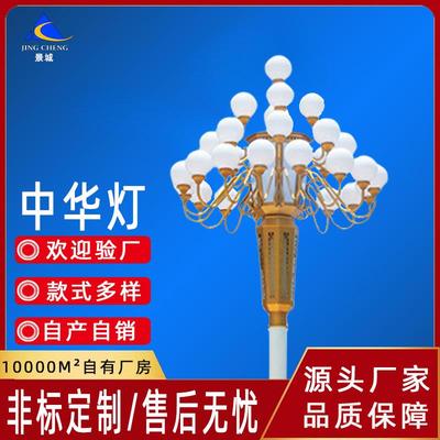 定制市政工程道路照明8米10米12米中华灯景区广场主干道玉兰灯