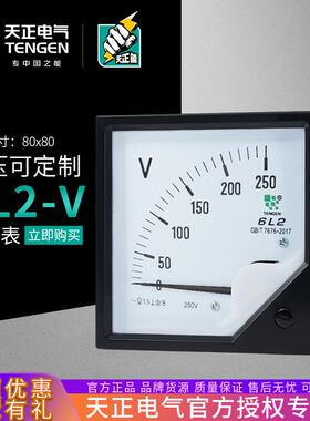 天正6L2-V指针式电压表450V100V250V500V10KV12KV交流80*80