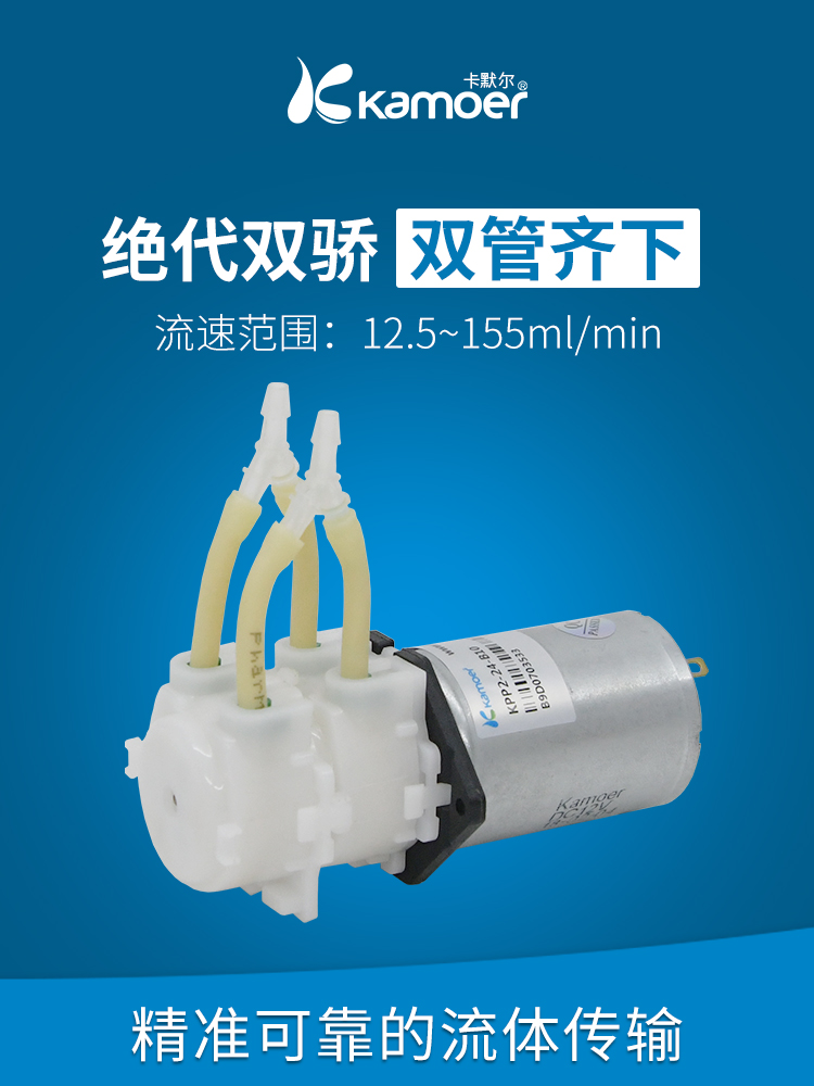 蠕动泵12v双头泵小型抽水泵水泵实验室泵头 大流量双通道微型双泵