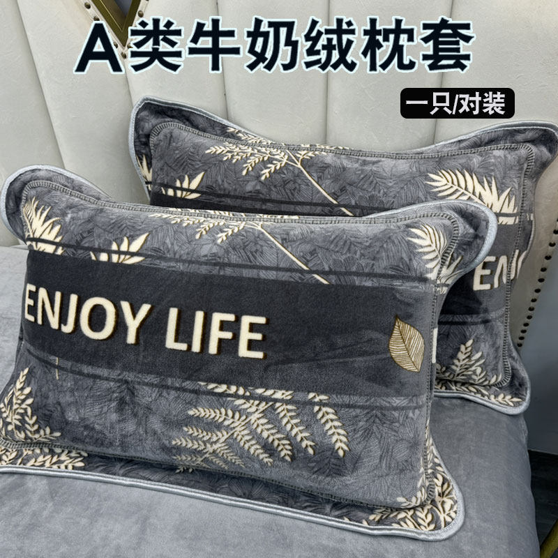 枕头皮枕套一对冬天加绒牛奶绒冬季高级感珊瑚绒枕芯罩48cmx74cm