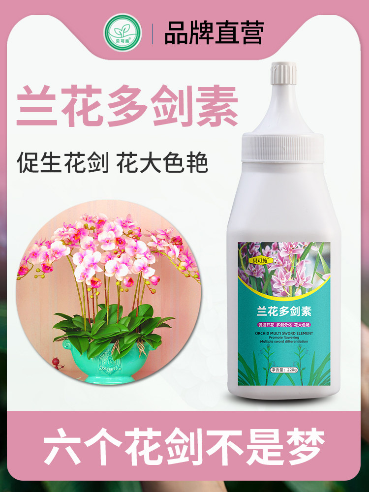 贝可施兰花多箭素蝴蝶兰多剑王营养液肥料爆芽素专用液体肥君子