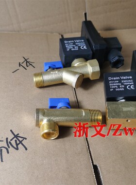 黄铜4分电子定时排水阀器自动分体联体电磁阀Best-Nr.0200AC220V
