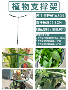 蟹爪兰专用花支架植物支撑杆防倒花卉架圆圈兰花绿萝架子花托花架