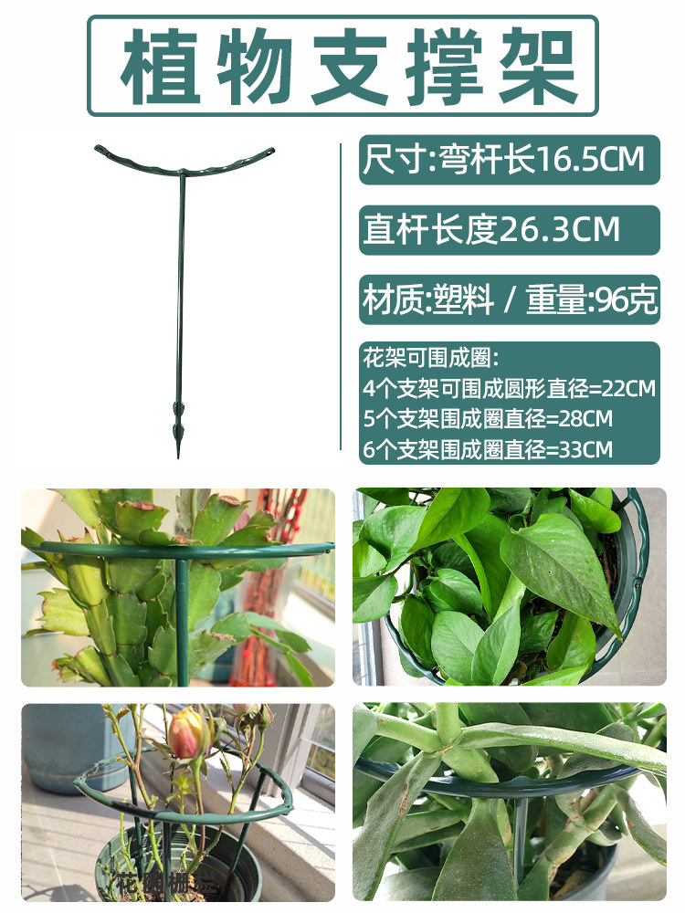 蟹爪兰支架固定架撑杆花架植物花防倒伏支撑杆盆栽专用花卉盆架子,鲜花速递/花卉仿真/绿植园艺,花架,淘宝优惠券,粉丝福利购,淘宝优惠卷