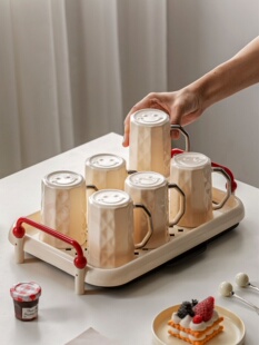 轻奢高级感水杯家用茶具水具套装客厅招待客人杯子茶杯带把手