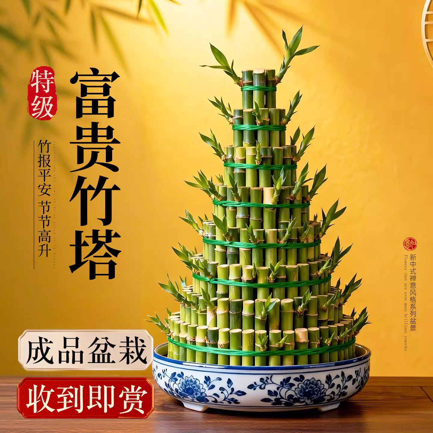 竹塔盆栽节节高富贵竹水培绿植物转运竹植物客厅开运招财鸿运当头