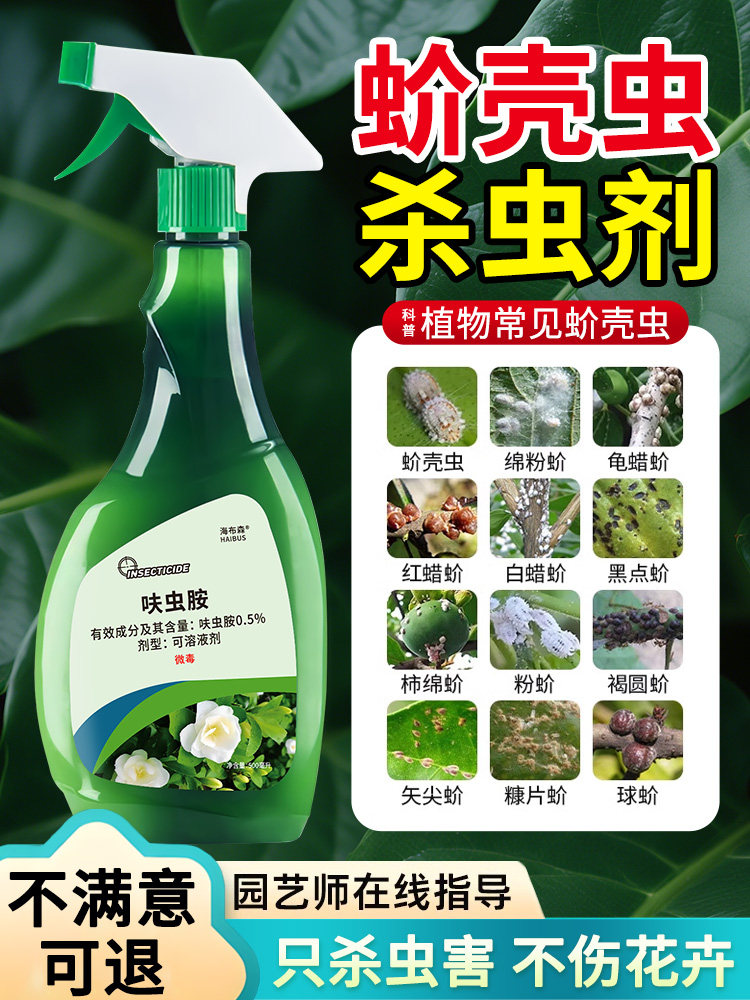 蚧壳虫杀虫剂多肉介壳虫药杀虫兰花疥虫花卉植物驱虫药非特效专用