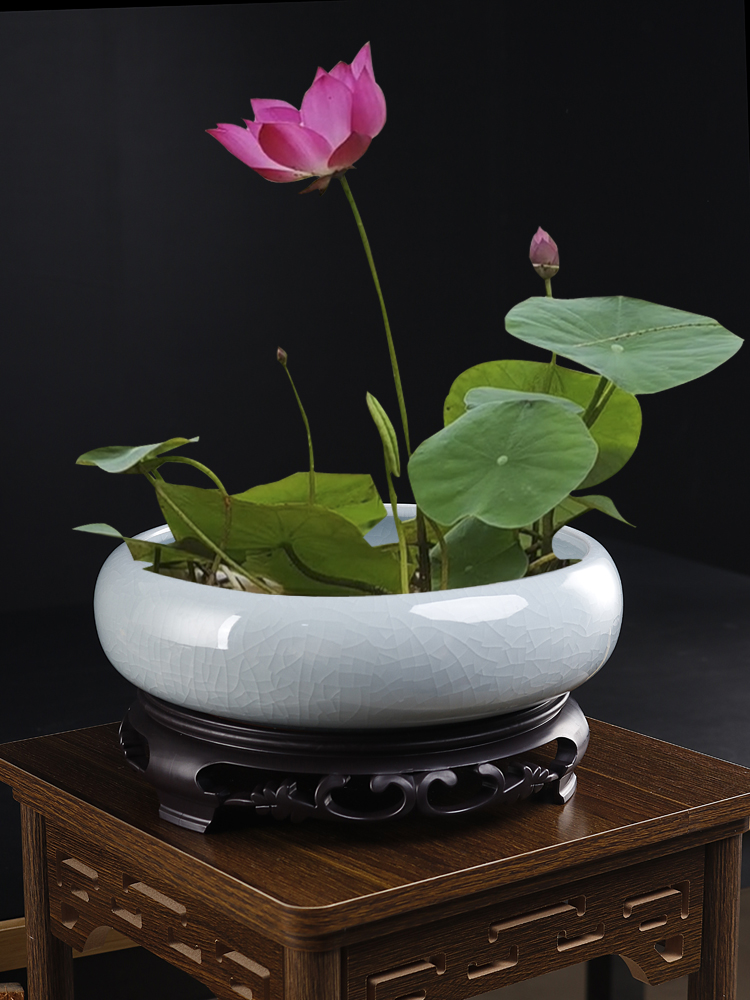 哥窑碗莲水仙专用水培花盆陶瓷大口径家用阳台一叶莲水养植物容器