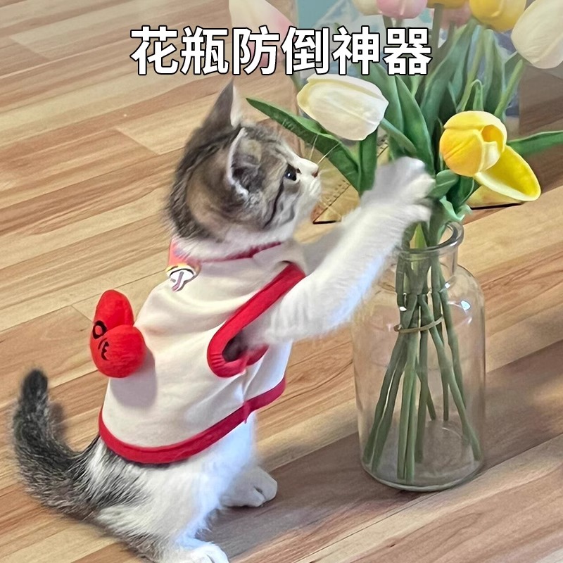 花瓶固定器防倒插花玻璃杯子桌面摆件防倒养猫神器防摔底座硅胶贴