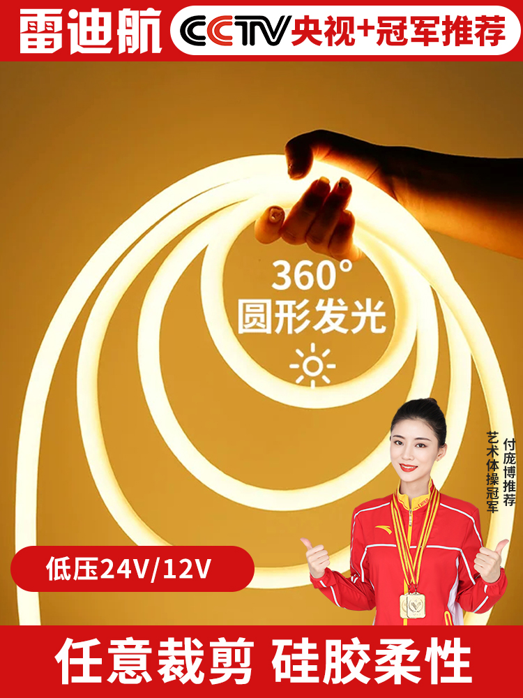 12V霓虹柔性软灯带led24V线条灯管圆形360度装饰户外防水广告高亮