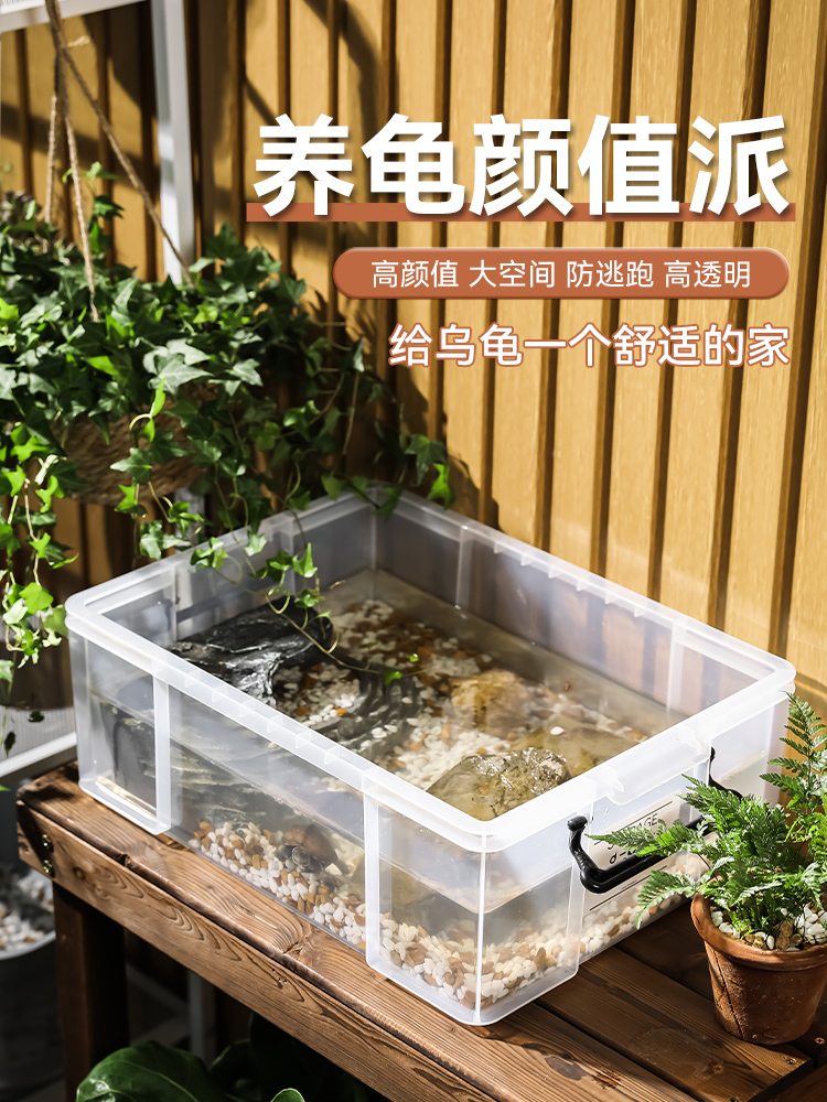 乌龟周转箱家用过滤造景塑料养龟饲养缸透明生态箱生物养殖箱子