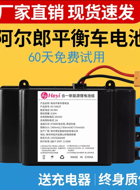 电动平衡车锂电池合一36v通用42v电瓶安派新能源阿尔郎双轮扭扭车