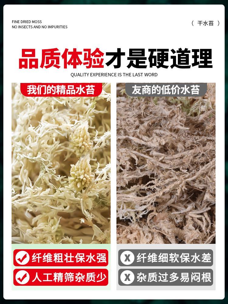 水苔蝴蝶兰专用营养土干苔藓青苔石斛花君子兰乌龟冬眠垫材兰花土