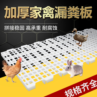 鸡用漏粪板家禽兔子塑料漏粪板养鸭鹅鸡网格漏粪脚垫鸡舍漏粪地垫