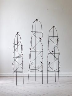 铁艺爬藤架花架铁线爬藤支架月季蔷薇玫瑰牵引花柱爬藤植物固定架