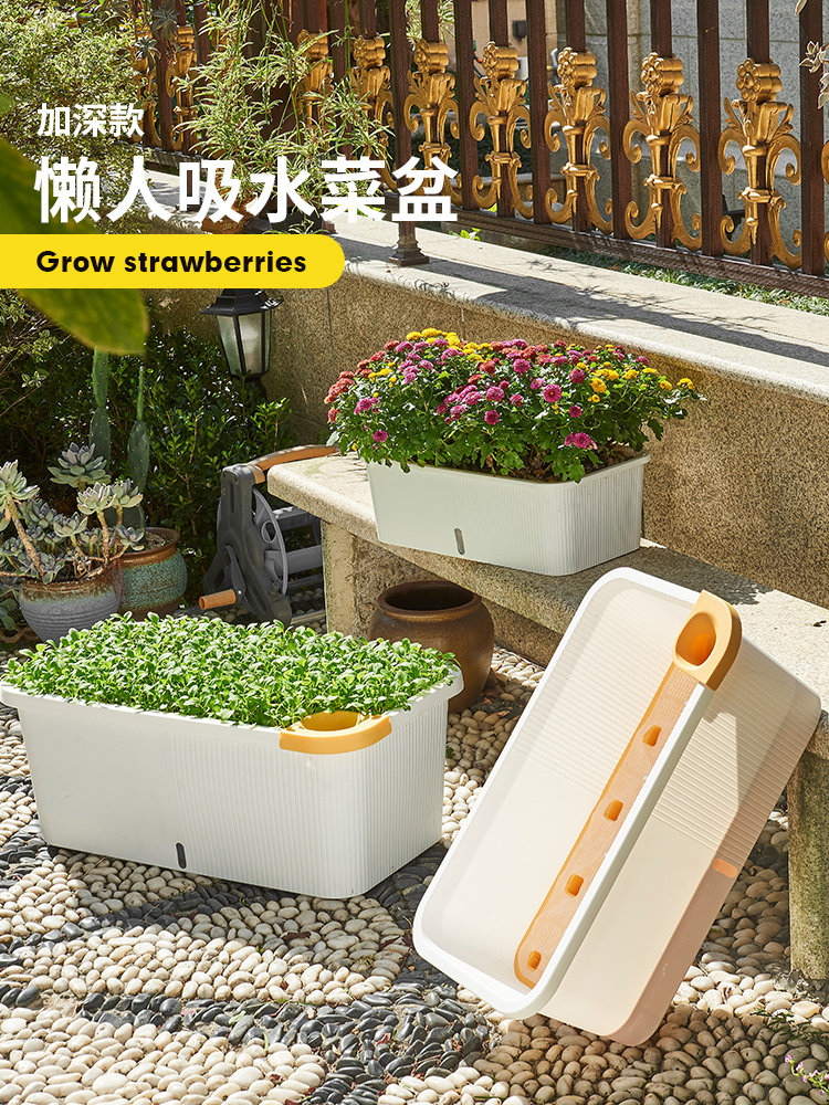 阳台种菜专用箱室内种植蔬菜草莓种菜盆懒人自动吸水长方形大花盆