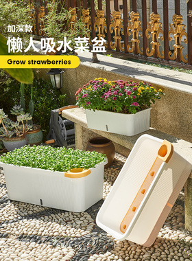 阳台种菜专用箱室内种植蔬菜草莓种菜盆懒人自动吸水长方形大花盆
