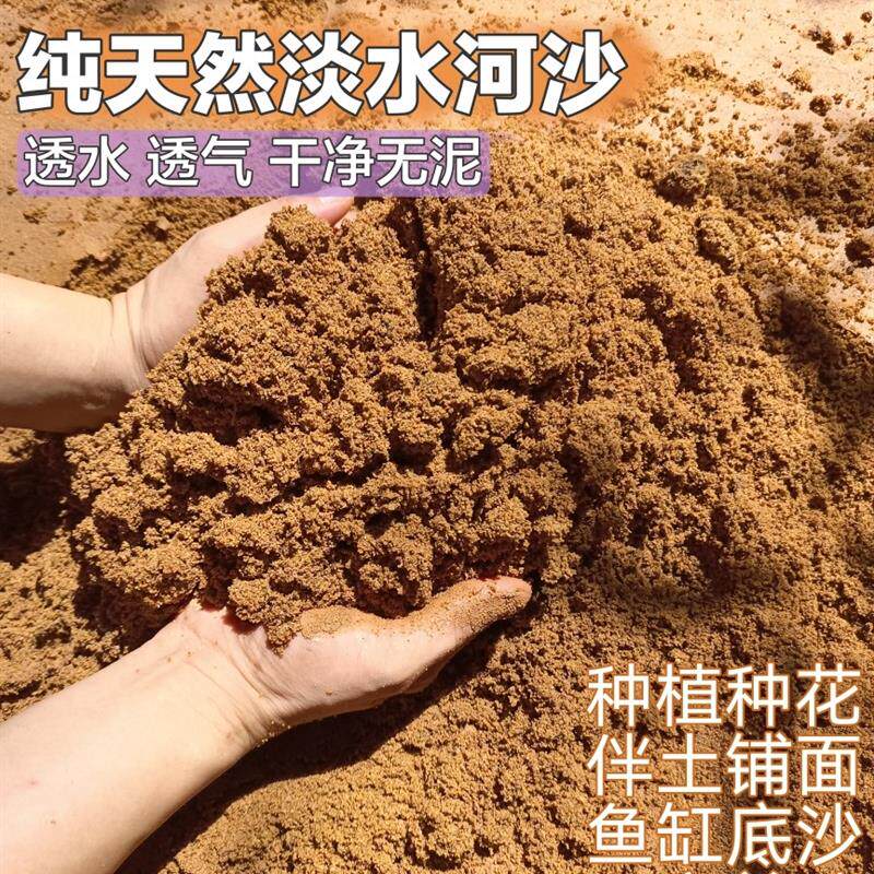 天然河沙多肉配土沙土鱼缸底沙乌龟冬眠孵化黄沙土水族造景底沙