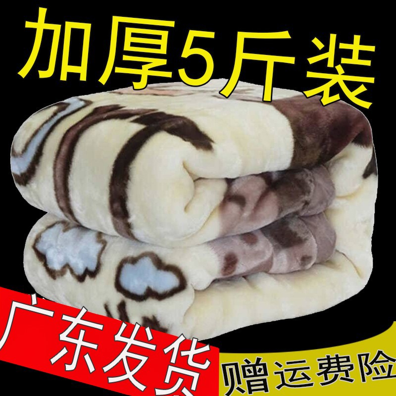 拉舍尔毛毯双层加厚御寒保暖毛毯学生宿舍被子冬季午睡珊瑚绒毯子