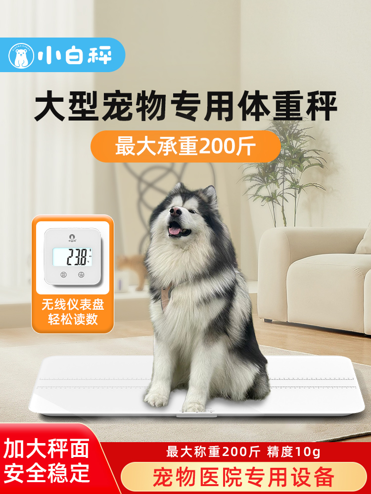 小白秤大型宠物体重秤地磅200斤宠物医院称动物精准大型犬称重器