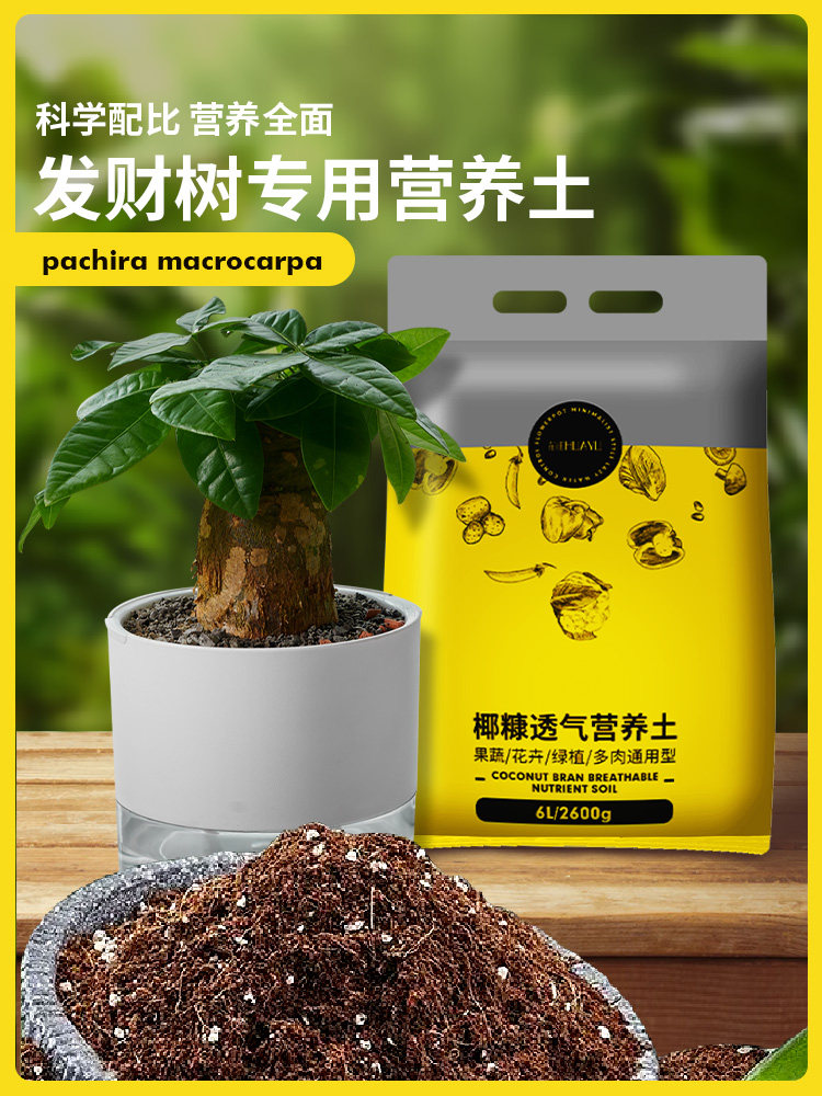 发财树盆栽专用土种金钱树幸福树平安树土壤肥料营养土泥土种植土