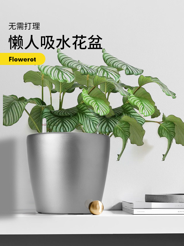 桌面免浇水圆形自动吸水盆绿萝懒人花盆水培器皿创意免浇水盆栽