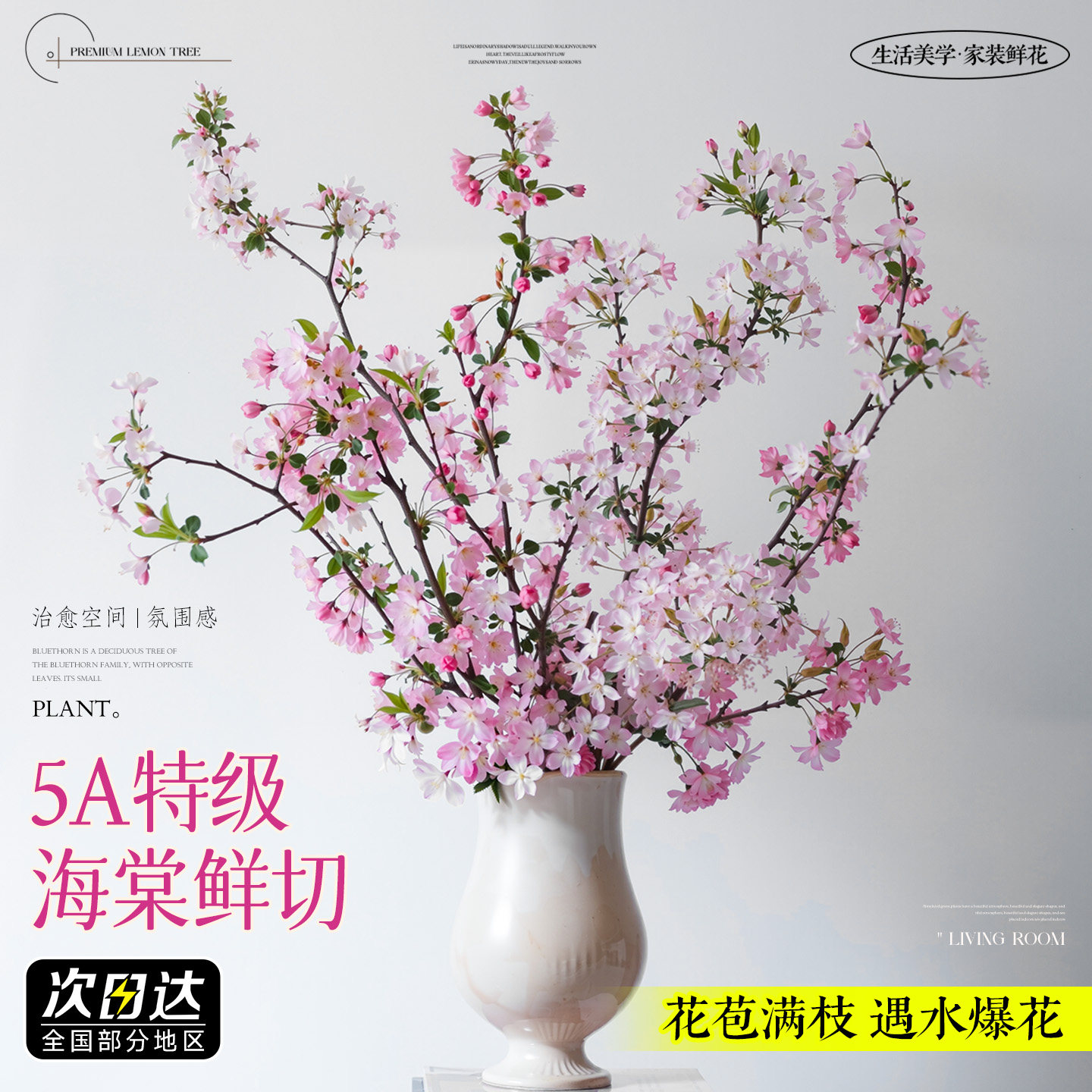海棠花鲜切花枝水培植物水养花卉带花苞室内插花绿植桌面盆栽好养