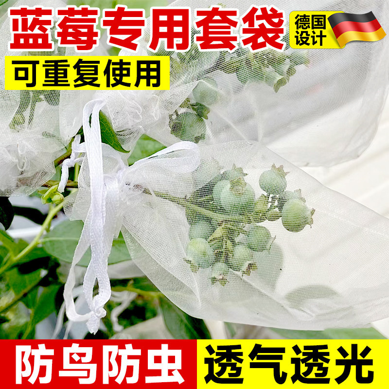 蓝莓套袋专用果袋草莓樱桃果树果子防鸟防虫无花果车厘子果实套袋