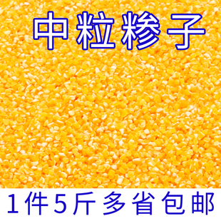玉米碴子现磨玉米糁5斤中粒玉米渣五谷杂粮脱皮玉米碎玉米渗包邮