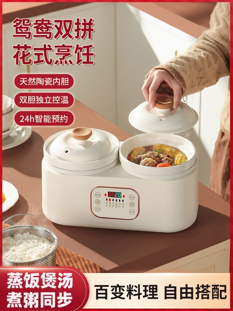 双胆电炖锅煮粥煲粥陶瓷炖锅煲汤炖汤锅家用 1-2人炖盅养生电汤锅