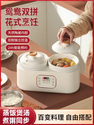 双胆电炖锅煮粥煲粥陶瓷炖锅煲汤炖汤锅家用 1-2人炖盅养生电汤锅