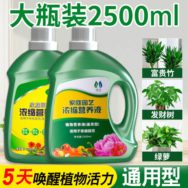 营养液植物通用型发财树富贵竹绿萝多肉花肥盆栽花卉绿植水培肥料