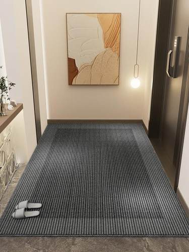 入户门垫高级家用进门口脚垫定制地垫可裁剪深色客厅卧室地毯耐脏