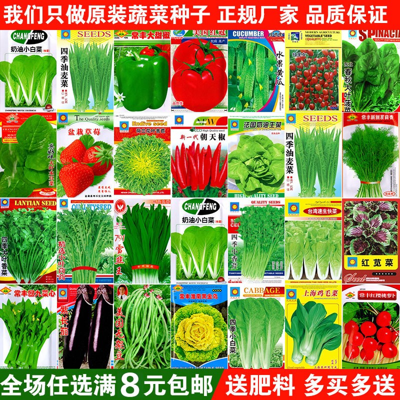 蔬菜种子四季播种阳台农家庭院盆家庭园艺种子