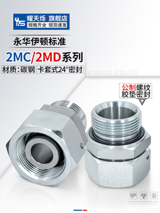 活接24度锥卡套接头公制ED转内外丝H型轻型2MC 重型2MD卡套管接头