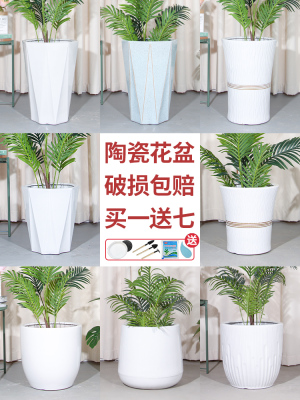 特大号陶瓷花盆大口径家用客厅落地发财树龟背竹专用白色几何花瓶