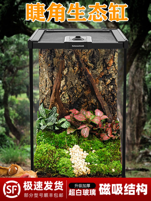BG超白玻璃树栖睫角饲养箱爬宠爬虫饲养缸生态雨林造景宠物树蛙蛇