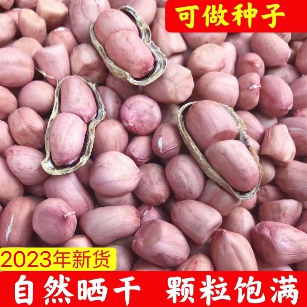 26年带壳生花生粉红皮花生米生花生新货带壳可做种子可榨油1-5斤