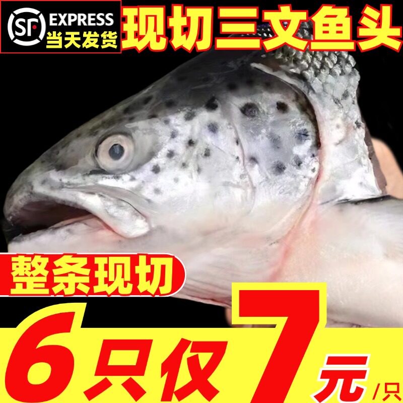 新鲜三文鱼头新鲜冷冻整条现切新疆国产鱼三文鱼非进口挪威鱼海鲜