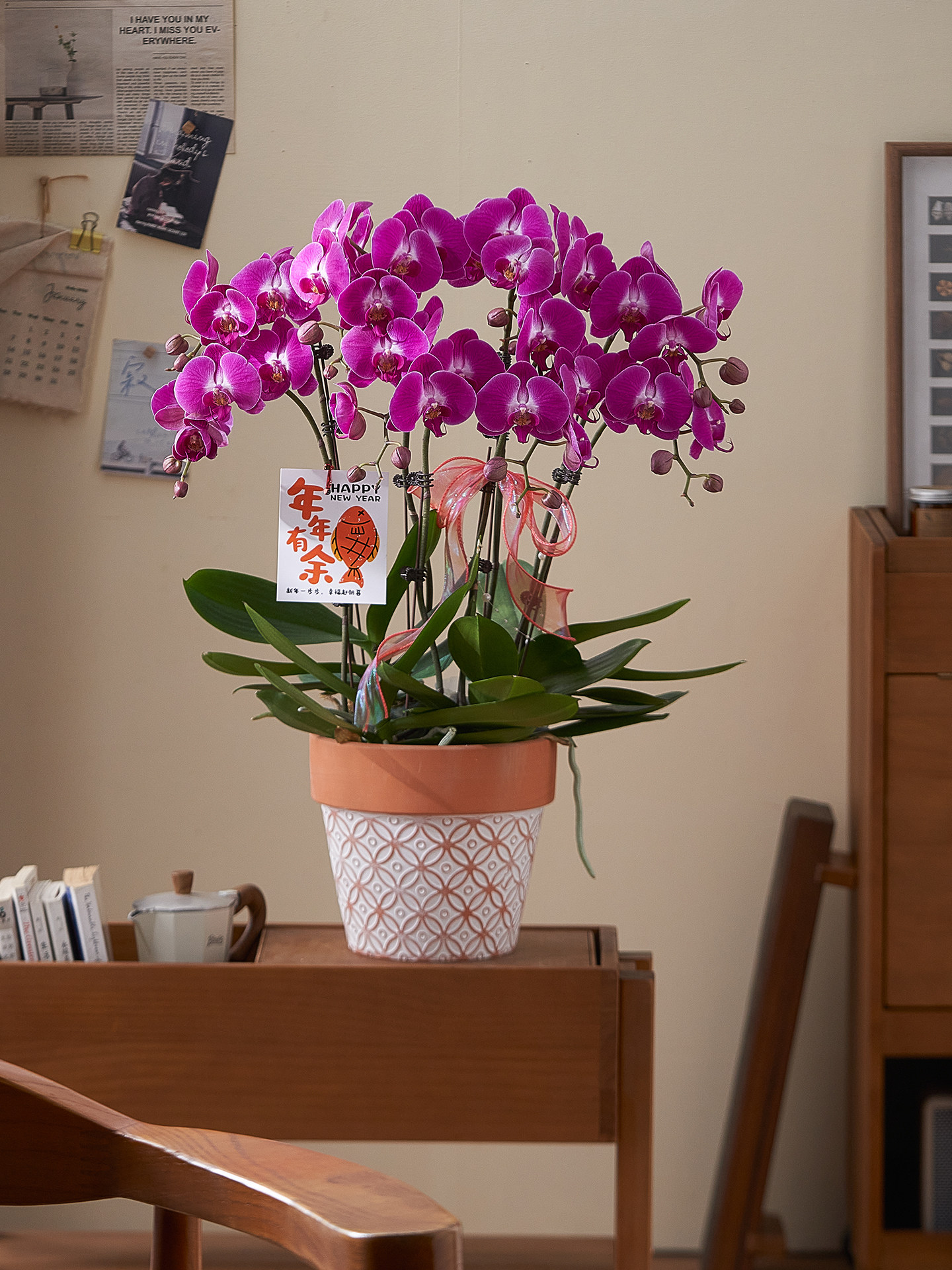 蝴蝶兰带花盆栽鲜花兰花真花带盆乔迁新居室内植物年宵花客厅盆景